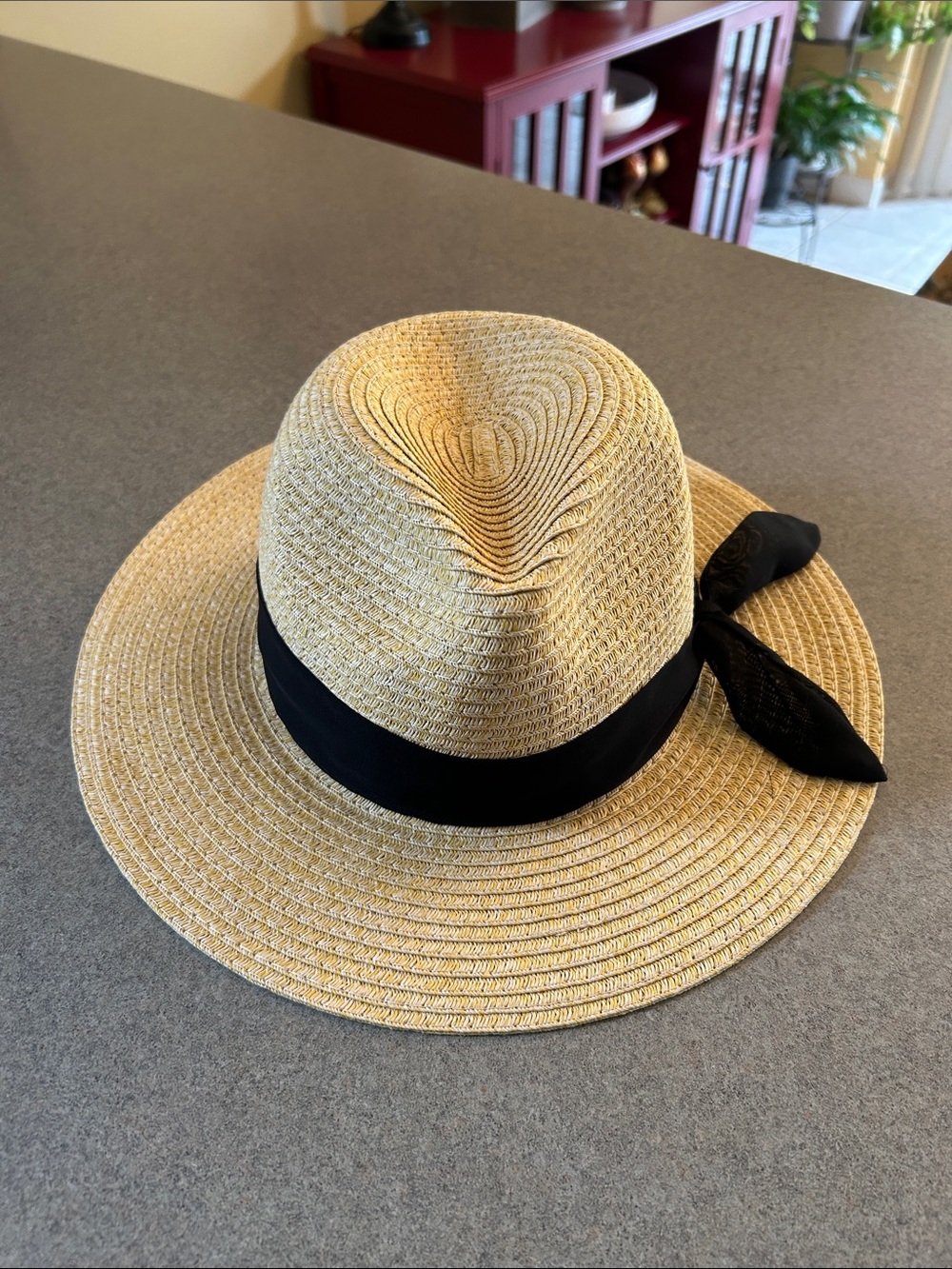 Giani Bernini Panama Style Hat with Black Accent